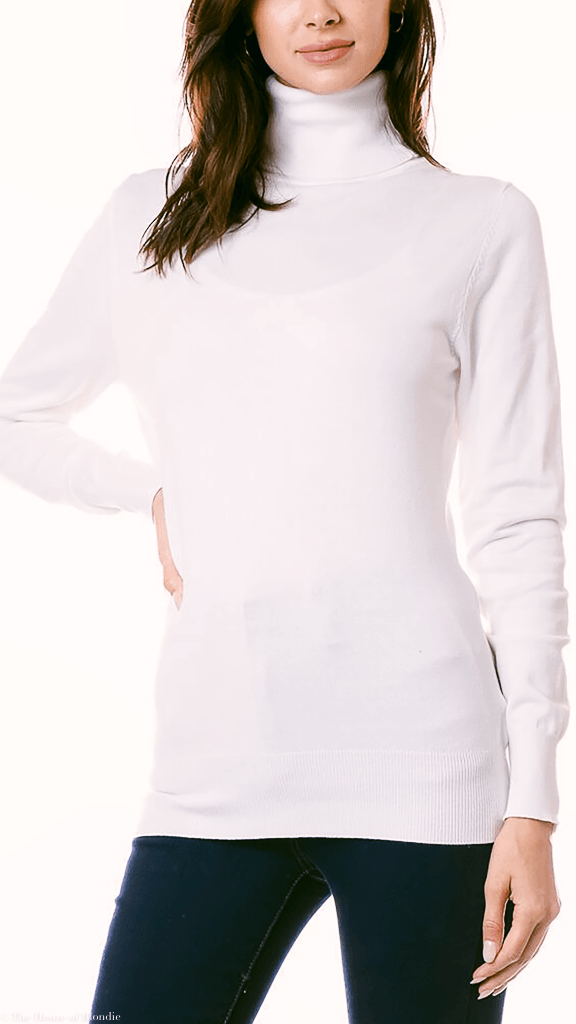 Clarissa Lightweight Long Sleeve Turtleneck Sweater (4 COLORWAYS) by www.thehouseofblondie.com